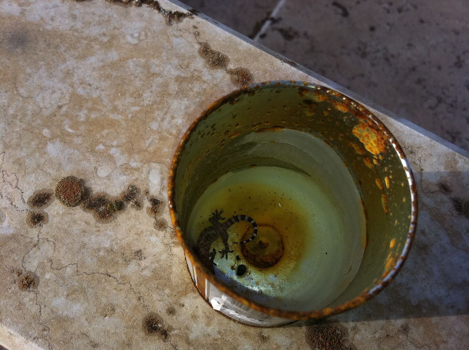 A weathered metal cup rests on cracked concrete, representing loss and the journey of grief.
